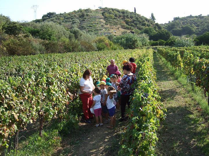 Agriturismo Parra Santa Lucia del Mela Exterior foto